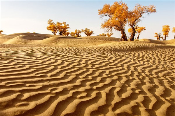 Çinli araştırmacılar, Taklamakan Çölü’nün oluştuğu tarihi buldu