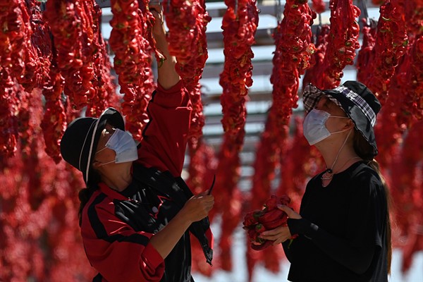 Xinjiang’da yoksulluktan kurtulanların geliri artmaya devam ediyor