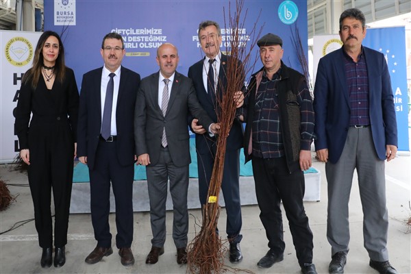 Bursa Büyükşehir, Büyükorhanlı çiftçilere, 5 bin 200 adet meyve fidanı dağıttı