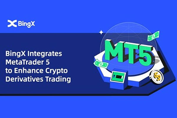 BingX'den MetaTrader 5 entegrasyonu