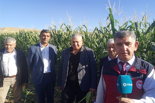 Kahta'da ''silajlık mısır tarla günü'' etkinliği