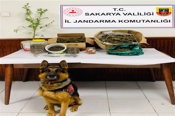 Sakarya'da uyuşturucu operasyonu