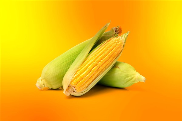 Akıllı ve dijital tarıma yönelik siber tehditler Türkiye'ye risk oluşturuyor