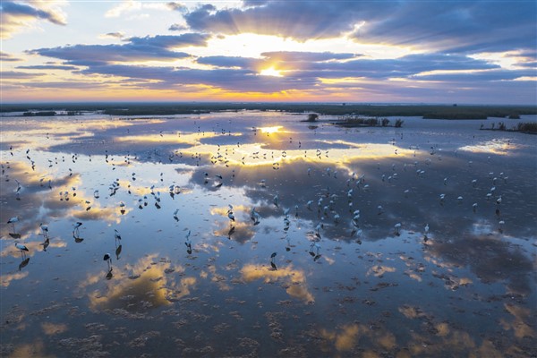 Sonbaharın harika ekolojik fotoğrafları