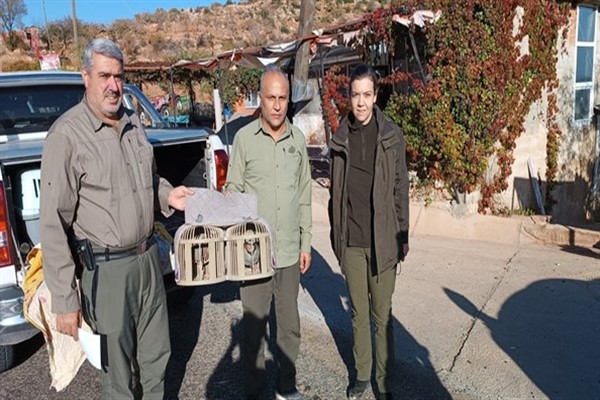 Adıyaman'da kaçak avcılara cezai işlem uygulandı