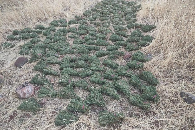 Diyarbakır'da Terörün Finans Kaynaklarına Darbe!