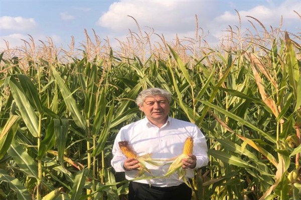ZMO Şanlıurfa Başkanı Melik: “Mısır fiyatı en az 7,75 TL olmalı”