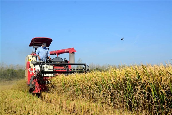 Çin: "Küresel gıda güvenliğine büyük önem veriyoruz"