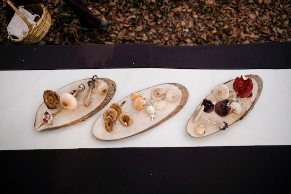 Macrocenter, sonbaharın gelişini konuklarıyla birlikte Belgrad Ormanı’nda kutladı