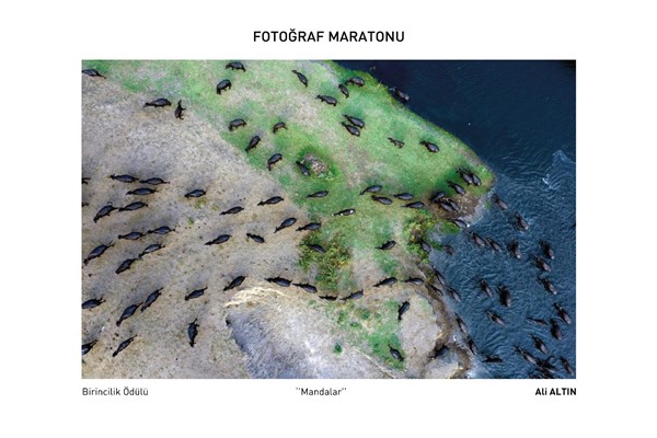 Fotoğrafçılar Maratonu'nda ödüller sahiplerini buldu