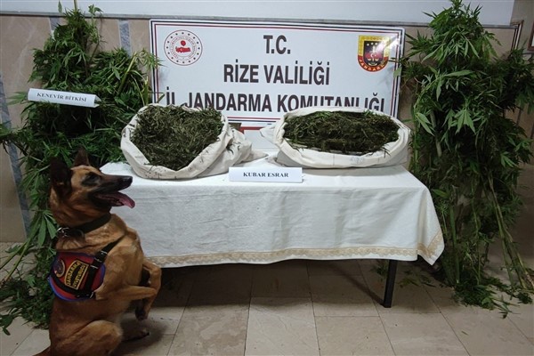 Rize'de uyuşturucu operasyonu 