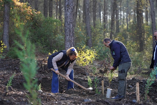 Marmaris halkı ve öğrenciler, Marmaris’in ağaçlandırılmasına destek oldu