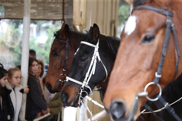 Büyükşehirden at biniciliği için yeni proje
