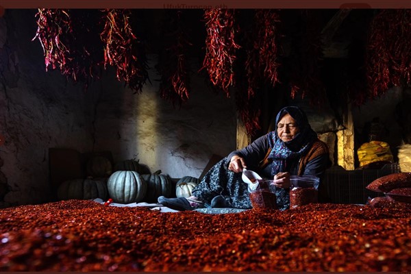 Çinli ve Türk gençlerin katıldığı fotoğraf yarışmasında 20 ödül verildi