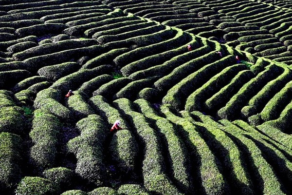 Xi Jinping'den somut olmayan kültürel mirasları koruma vurgusu