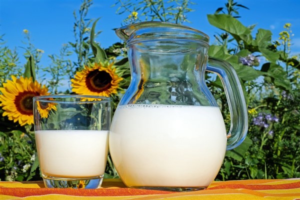 Süt ve süt ürünleri üretimi, Ekim 2022