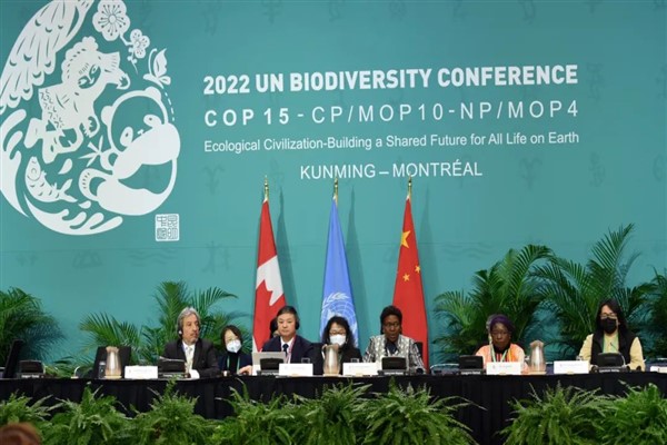 COP15 ikinci aşama üst düzey toplantısı sona erdi