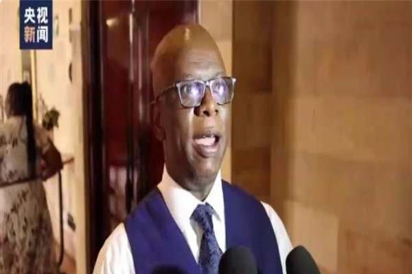 Güney Afrikalı uzman: "Dünya, NATO'nun oynadığı olumsuz role karşı uyanık olmalı"